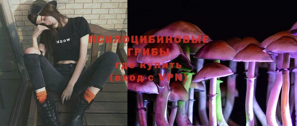 ПСИЛОЦИБИНОВЫЕ ГРИБЫ Алексеевка