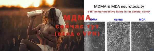 ПСИЛОЦИБИНОВЫЕ ГРИБЫ Алексеевка