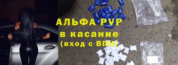 прущие грибы Липки